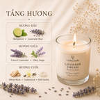 Nến thơm LittleCandle hương oải hương dịu nhẹ, thơm phòng và thư giãn – JC-003