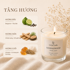 Nến thơm LittleCandle hương gỗ đàn hương trầm ấm, trang trí không gian – JC-004