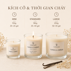 Nến thơm LittleCandle hương vani hổ phách ngọt ấm, trang trí phòng và thư giãn – JC-001