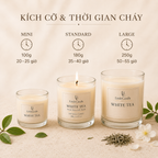 Nến thơm LittleCandle hương trà trắng thanh sạch, nhẹ nhàng, thơm phòng và trang trí – JC-002