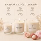 Nến thơm LittleCandle hương hoa hồng mẫu đơn thanh lịch, thơm phòng và làm quà tặng – JC-005