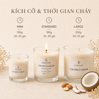 Nến thơm LittleCandle hương dừa sữa và vani béo nhẹ, ngọt ấm, trang trí phòng – JC-006