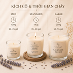 Nến thơm LittleCandle hương oải hương dịu nhẹ, thơm phòng và thư giãn – JC-003